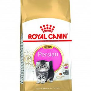 غذای خشک گربه رویال کنین مدل kitten persian وزن ۲ کیلوگرم